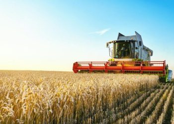 Top 10 Phosphate Countries by Production